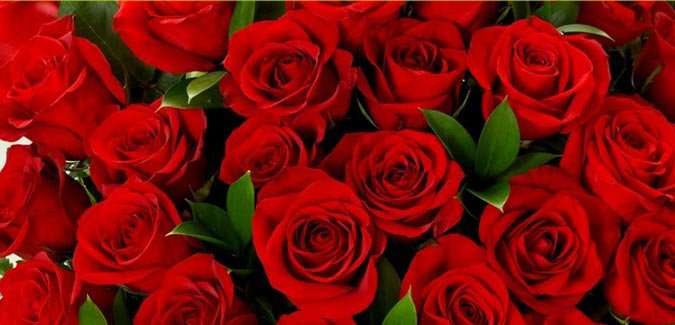 Valentine's Day Facts and History in Urdu