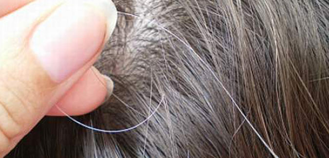 Best Tips For Grey/White Hair at Home