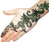 Hand Mehndi Design Arabic